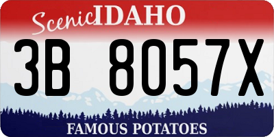 ID license plate 3B8057X