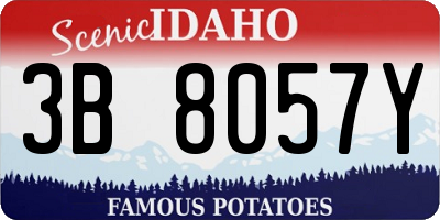 ID license plate 3B8057Y