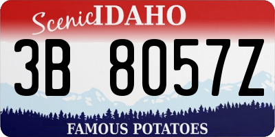 ID license plate 3B8057Z