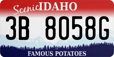 ID license plate 3B8058G