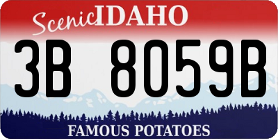 ID license plate 3B8059B