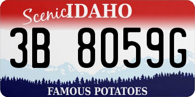 ID license plate 3B8059G