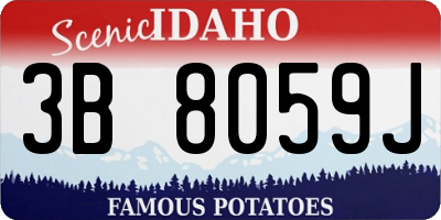 ID license plate 3B8059J