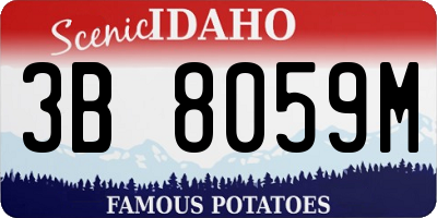 ID license plate 3B8059M