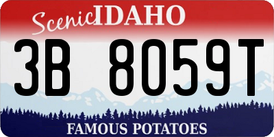 ID license plate 3B8059T