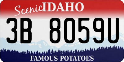 ID license plate 3B8059U
