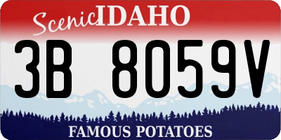 ID license plate 3B8059V