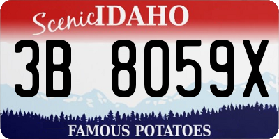 ID license plate 3B8059X