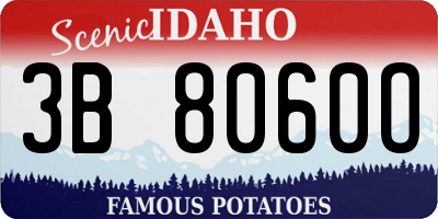 ID license plate 3B8060O