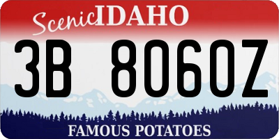 ID license plate 3B8060Z