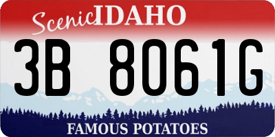 ID license plate 3B8061G
