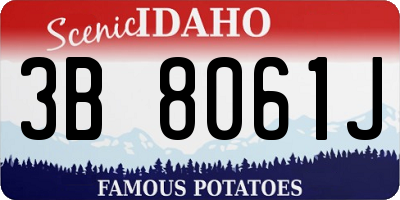 ID license plate 3B8061J