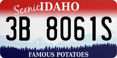 ID license plate 3B8061S