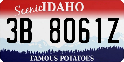 ID license plate 3B8061Z