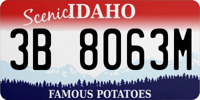 ID license plate 3B8063M