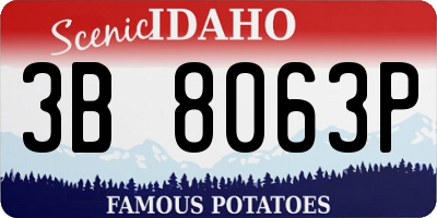 ID license plate 3B8063P