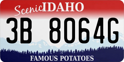 ID license plate 3B8064G