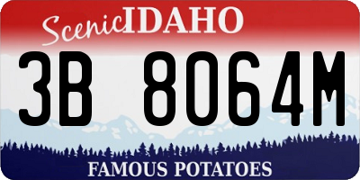 ID license plate 3B8064M