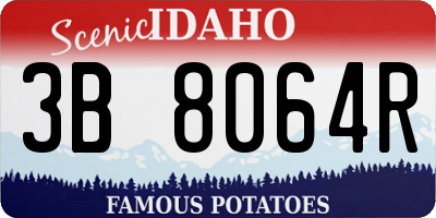 ID license plate 3B8064R