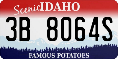 ID license plate 3B8064S