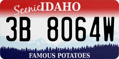 ID license plate 3B8064W