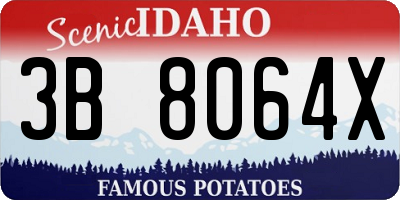 ID license plate 3B8064X