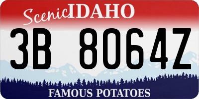 ID license plate 3B8064Z