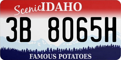 ID license plate 3B8065H