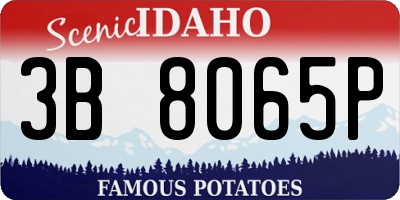 ID license plate 3B8065P
