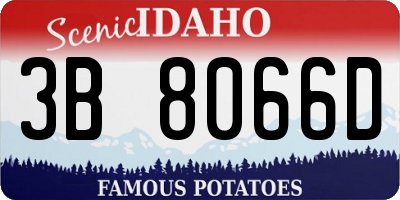 ID license plate 3B8066D
