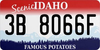 ID license plate 3B8066F