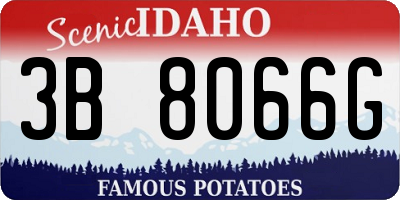ID license plate 3B8066G