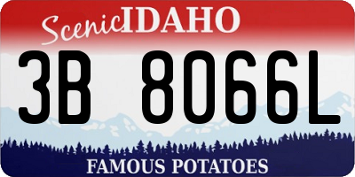 ID license plate 3B8066L