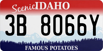 ID license plate 3B8066Y