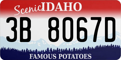 ID license plate 3B8067D