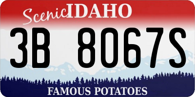 ID license plate 3B8067S