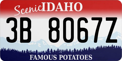 ID license plate 3B8067Z