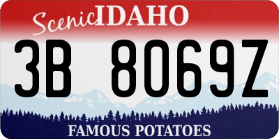 ID license plate 3B8069Z