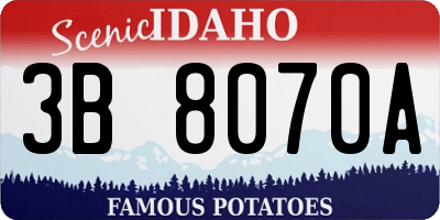 ID license plate 3B8070A