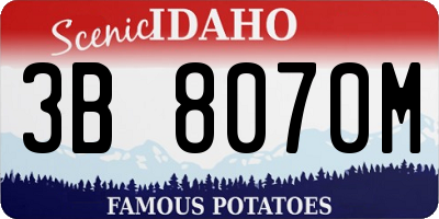 ID license plate 3B8070M