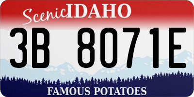 ID license plate 3B8071E