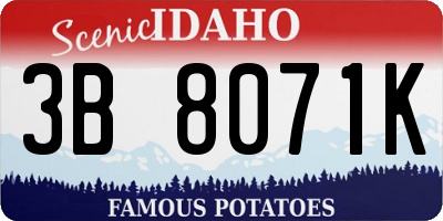 ID license plate 3B8071K