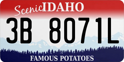 ID license plate 3B8071L