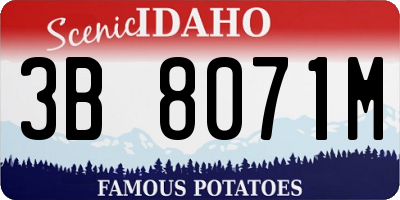 ID license plate 3B8071M