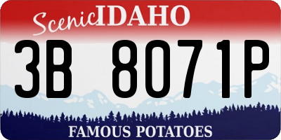 ID license plate 3B8071P