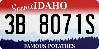 ID license plate 3B8071S