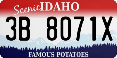 ID license plate 3B8071X
