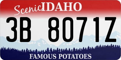 ID license plate 3B8071Z