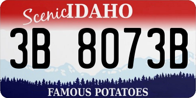ID license plate 3B8073B