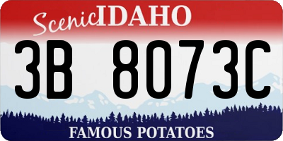 ID license plate 3B8073C